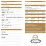 Diament naturalny 0.15 ct P1 wyc. 800$