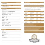 Diament naturalny 0.13 ct P2