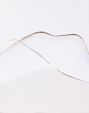 Julia Dunko, Dealir ivory, 2023