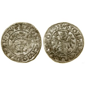 Poland, sheląg, 1546, Gdansk