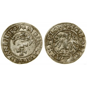 Poland, sheląg, 1547, Gdansk