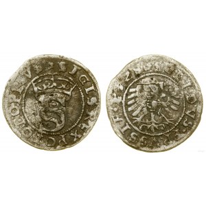 Polen, Scheląg, 1528, Toruń
