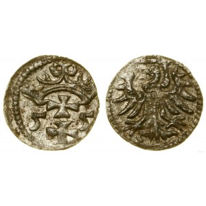 Polska, denar, 1555, Gdańsk