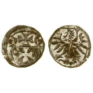 Poland, denarius, 1557, Elbląg