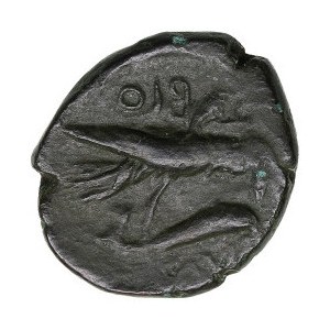 Skythia (Olbia) Æ17 (Dichalkon), c. 380-360 BC