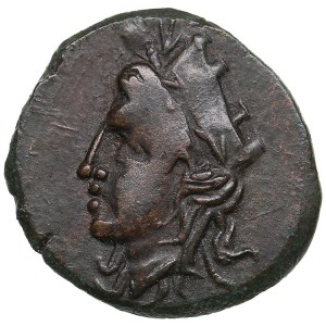 Skythia (Olbia) Æ18 (Dichalkon), c. 360-350 BC