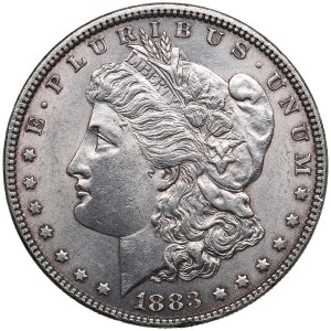 USA 1 Dollar 1883