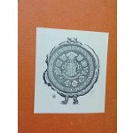 Emanuel Liebling Count Leo Tolstoy Literary Sketch Year 1911