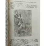 Juliusz Verne Tajemnicza wyspa Wydanie II Ilustracje D. Ferat