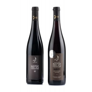 Vinice Vanellus Noctis, 2015-2022