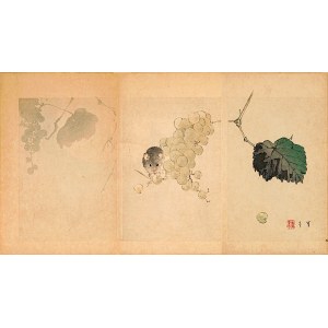 Watanabe Seitei (1851-1918), Milovník hroznů, Tokio, 1891