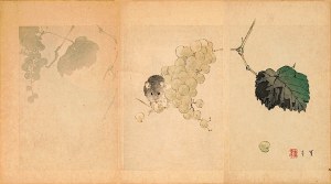 Watanabe Seitei (1851-1918), Miłośnik winogron, Tokio, 1891