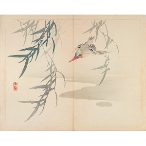 Taki Katei (1830-1901), Zimorodek, Tokio, 1894