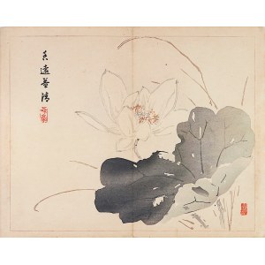 Taki Katei (1830-1901), Kwiat lotosu, Tokio, 1894