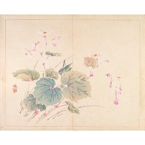 Taki Katei (1830-1901), Begonia i konik polny, Tokio, 1894
