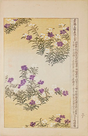 Yamada Kōtarō, Nakamura Busuke, Tkanina na kimono, Kioto, 1892