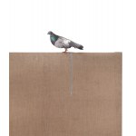 Tadeusz Kantor (1915 Wielopole Skrzyńskie - 1990 Kraków), Canvas and Pigeon from the series Everything Hangs in the Balance, 1973