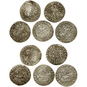 Polska, zestaw 5 x półgrosz, 1549, 2 x 1550, 1557, 1560, Wilno