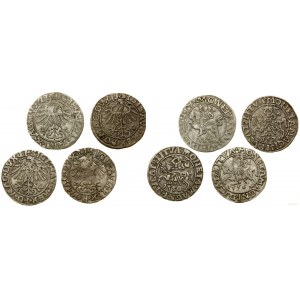 Polska, lot 4 x półgrosz, 1550, 1556, 1557, 1562, Wilno