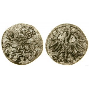Polska, denar, 1555, Wilno