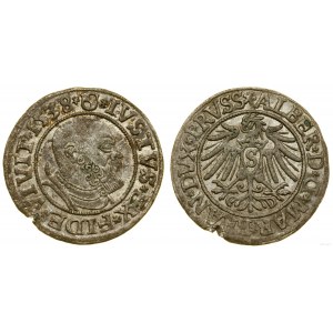 Prusy Książęce (1525-1657), grosz, 1538, Królewiec