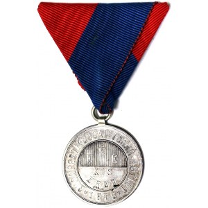 Hungary, Medal 1875