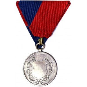 Ungheria, medaglia 1875