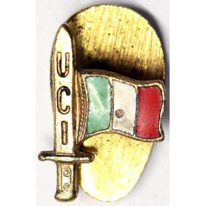 Italy, Kingdom of Italy, Vittorio Emanuele III (1900-1946), Badge n.d.