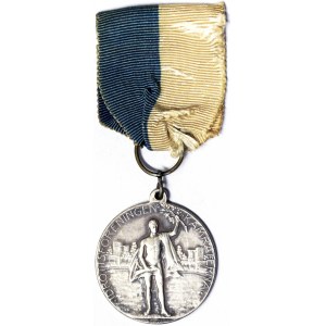 Suède, Royaume, Gustave V (1907-1950), Médaille s.d.