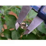 4,87ct - Zaffiro naturale - Cert. 812_1644 - Valutazione