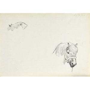 Ludwik MACIĄG (1920-2007), Head of a Horse