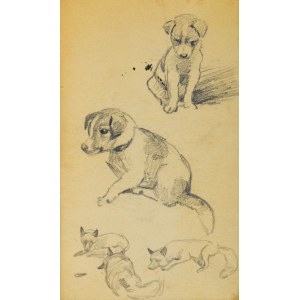 Ludwik MACIĄG (1920-2007), Sketches of dogs