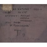 Wacław Taranczewski (1903 Czarnków - 1987 Kraków), Martwa natura ze skrzypcami na zielonym tle, 1933-34