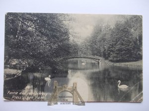 Pszczyna, Pless, park, rybník, most, cca 1910 (zveřejněno v roce 1932)