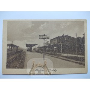 Pyskowice, Peiskretscham, dworzec, peron, ok. 1920