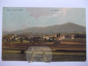Głuchołazy, Bad Ziegenhals, panorama, 1912