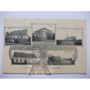 Cieszków k. Milicz, cegielnia, młyn, pałac, ok. 1910