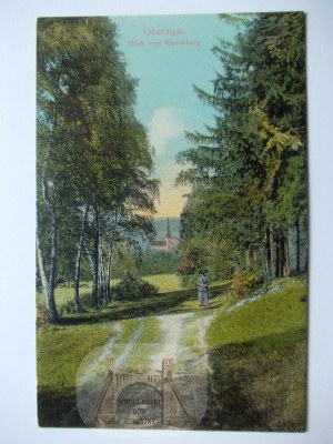 Oborniki Slaskie, Obernigk, view from Kirschberg, ca. 1910