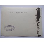 Strzelin, Strehlen, canning factory, 1936, photo