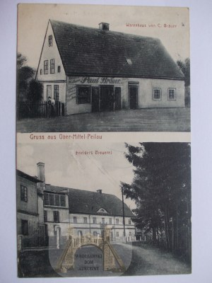 Pilawa, Ober Mittel Peilau, store, brewery, 1915