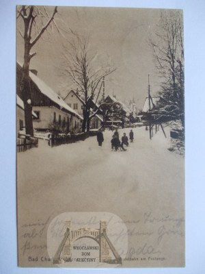 Jedlina Zdrój, Bad Charlottenbrunn, sledding, 1912