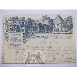 Jedlina Zdrój, Podlesie, lithographie, auberge, 1899