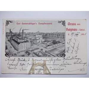 Chojnów, Haynau, browar parowy Gartenschlagera, 1905