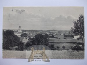 Sulęcin, Zielenzig, panorama, 1909
