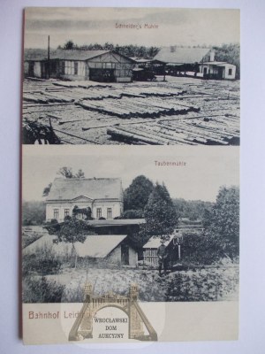 Drzewce near Torzym, Sulęcin, sawmill, mill, ca. 1908