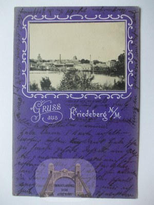 Strzelce Krajeńskie, Friedeberg, panorama, 1901