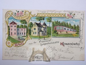 Kowanówko bei Oborniki Wielkopolskie, Lithographie, 1903