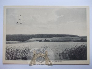 Piasecznik near Pyrzyce, lake, 1930