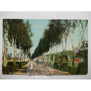 Kadyny near Elblag, highway, ca. 1910