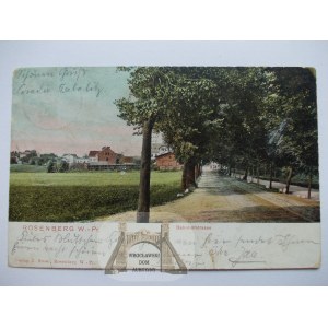 Susz, Rosenberg, station street, ca. 1904